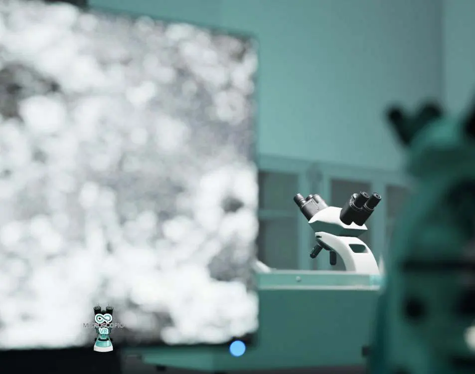Microscopio Virtual